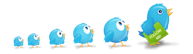 Следуй за twitter